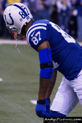 Indianapolis Colts WR Reggie Wayne