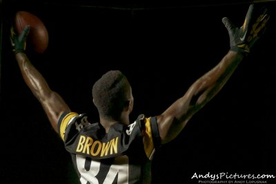 Pittsburgh Steelers WR/KR Antonio Brown