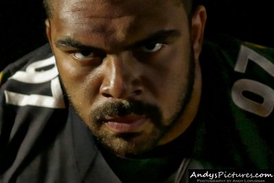 Pittsburgh Steelers DT Cameron Heyward