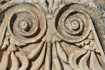 DSC_4554.JPG