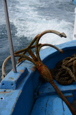 DSC_5573.jpg
