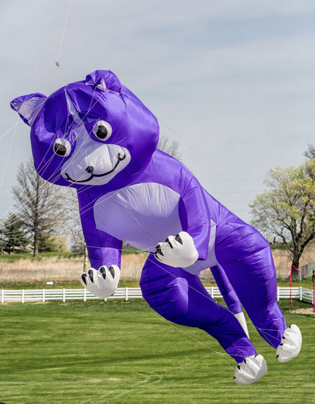 Blue Cat II