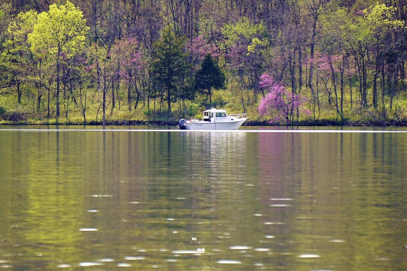 The meaning of Spring is , see Image ! (B)