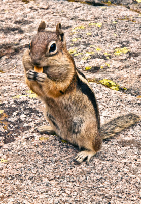 Happiness is... A Peanut