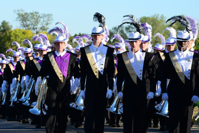 G - 2013 Golden Regiment