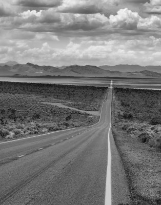 D - Desolate Highway