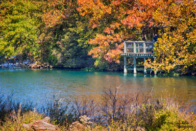 Fall Color by the Lake - Dale E.