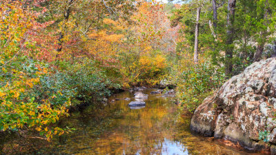 Fall Along the Creek