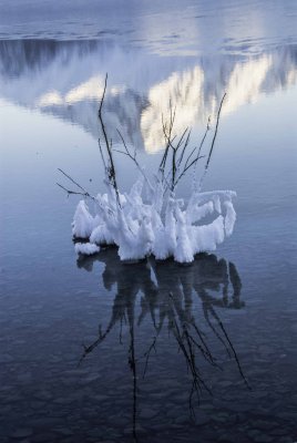 Frosty Reflection
