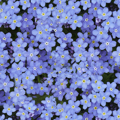 g9/53/789953/3/161580020.fdOBPKVe.jpg