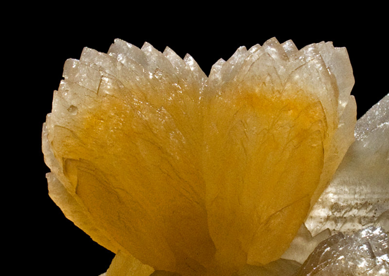 Artigas Calcite - 1