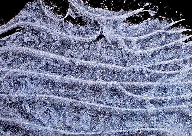 Ice-Pattern-2014-14