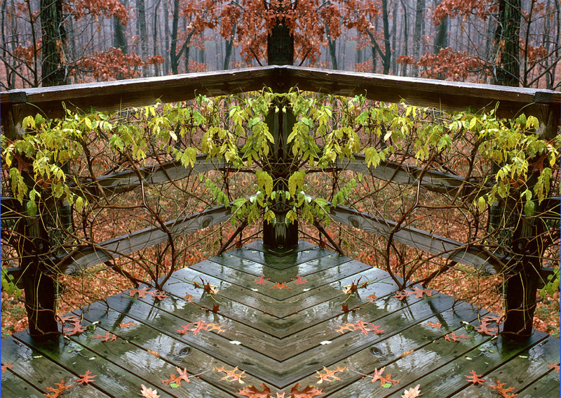 Fall-Deck-Konfabulation