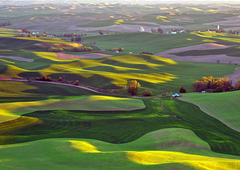 Palouse-6