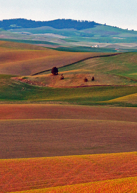 Palouse-5