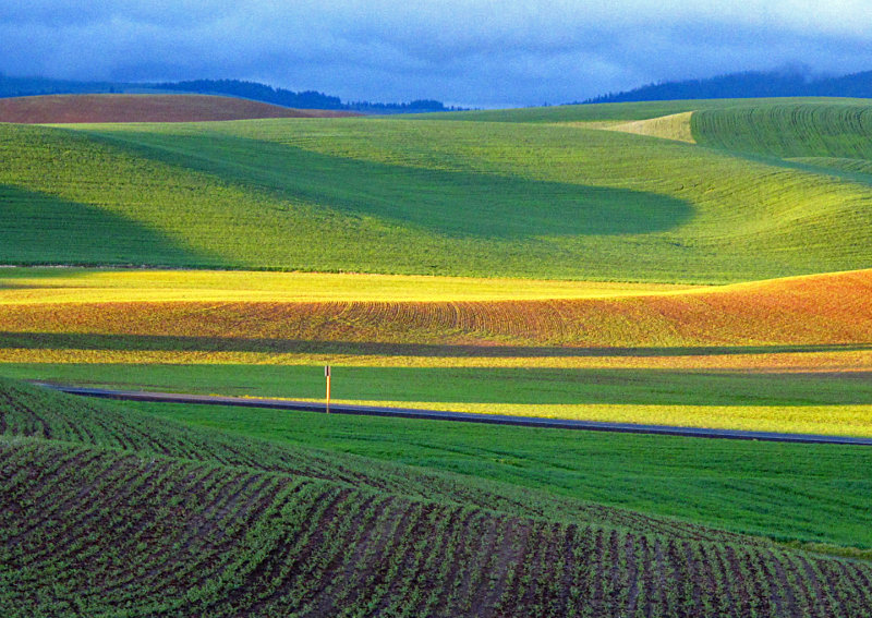 Palouse Road Sign