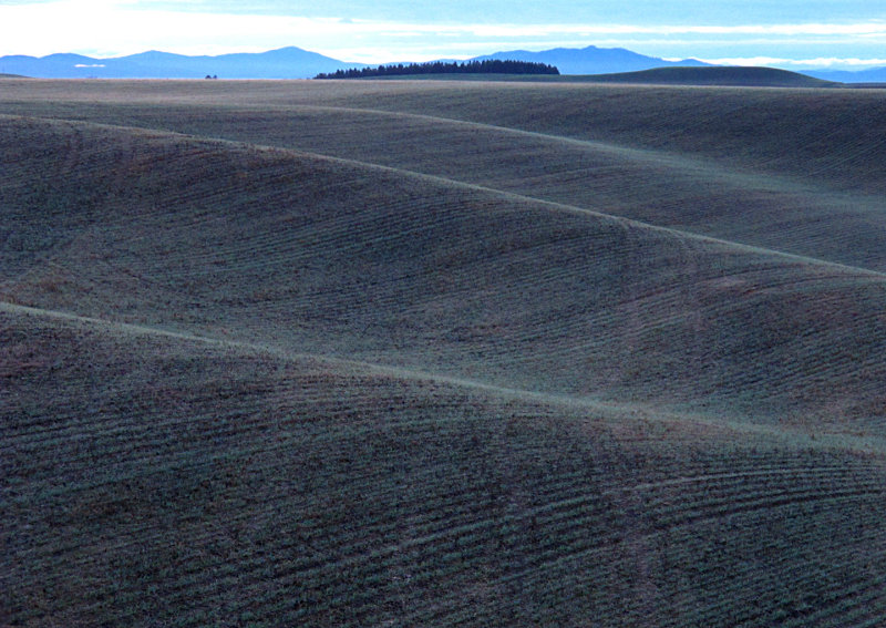 Palouse-7