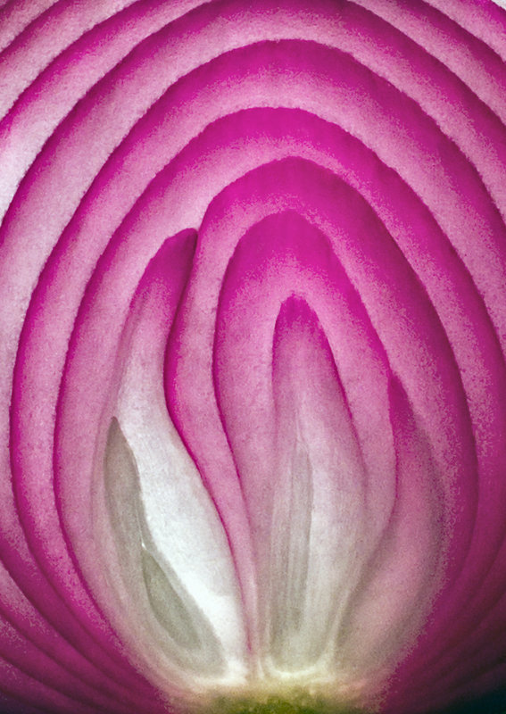 Red-Onion-2
