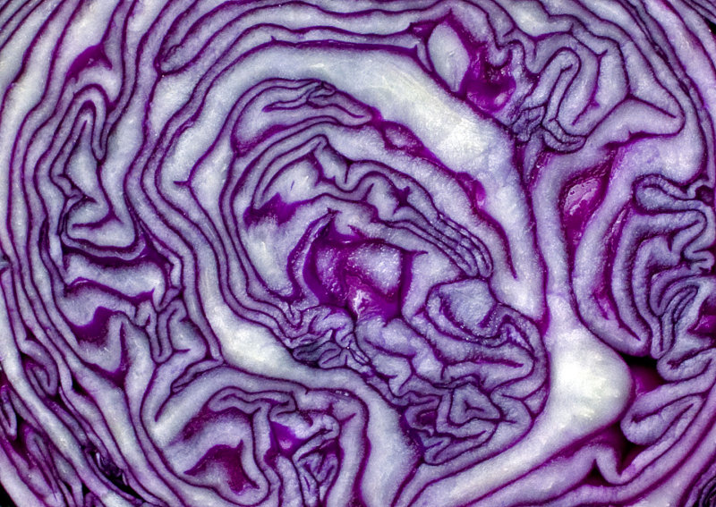 Red-Cabbage - 2