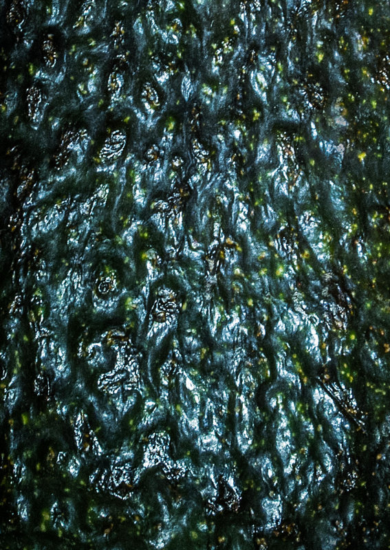 Avocado Skin