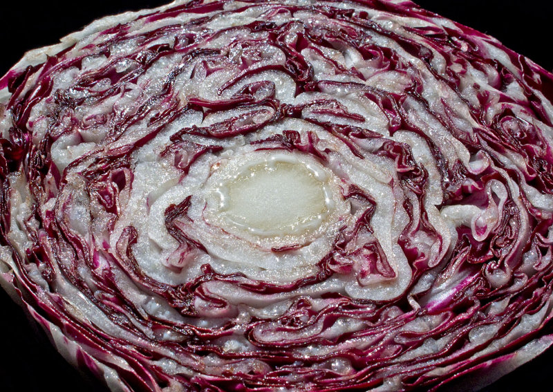 Radicchio