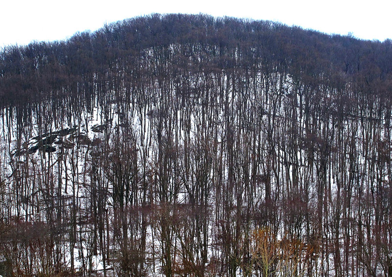 Snowy-Mountainside
