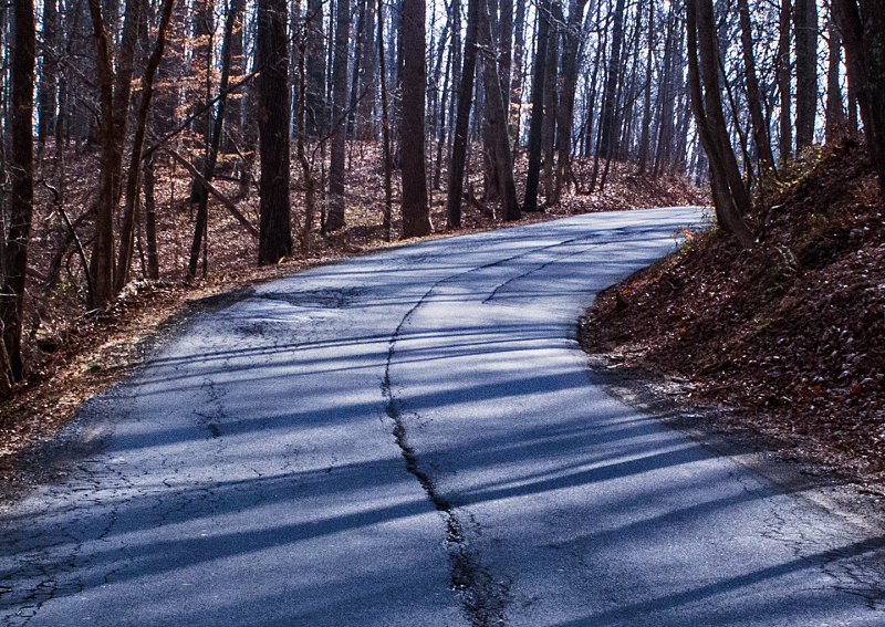 Shadow-Road