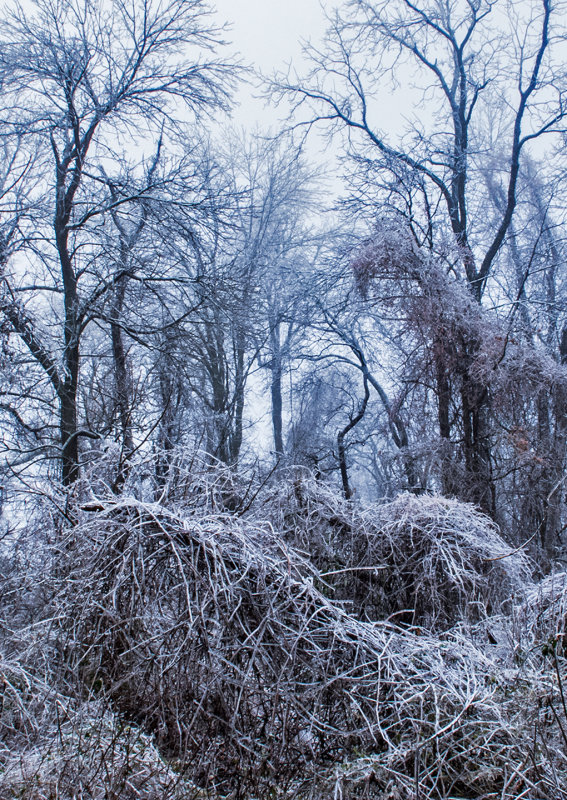 Iced-Landscape