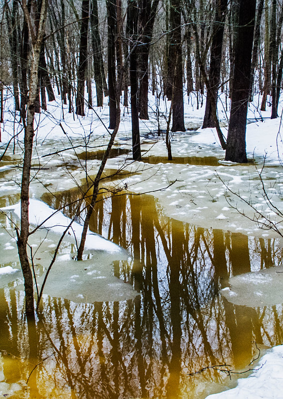 Snowmelt - 1