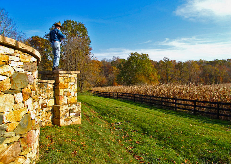 W-photographing-Cornfield-with-Fence