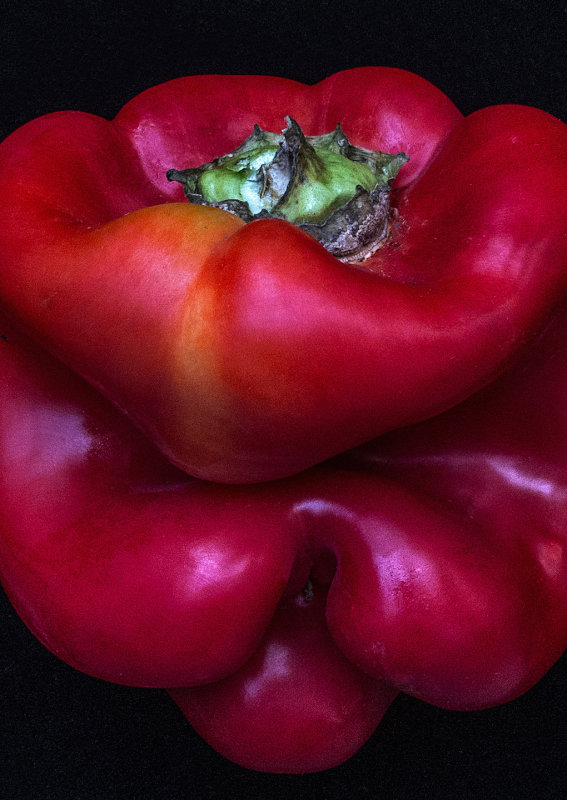 Red-Pepper---2