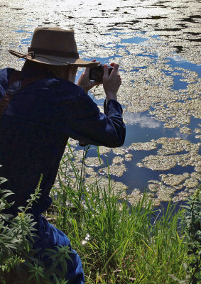 W-photographing-Pond Alge