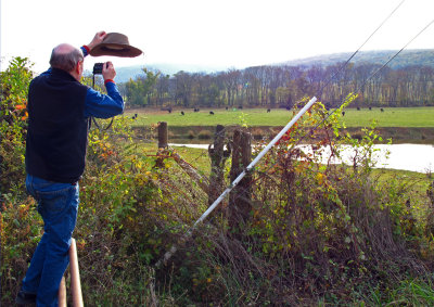 W-photographing-Autumn-Landscape-with-Cattle