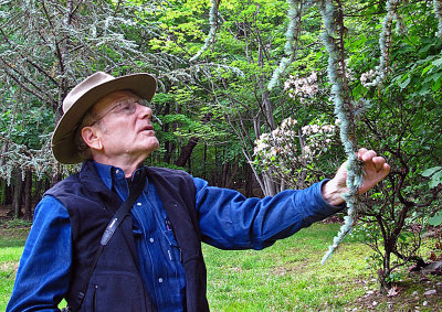 W-photographing-Blue-Atlas-Cedar