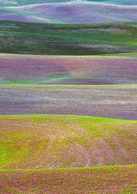 Palouse-3