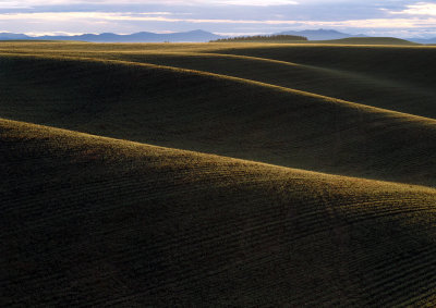 Palouse-4