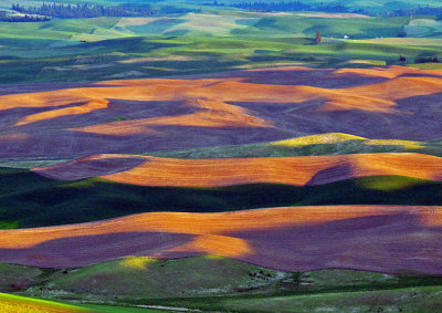 Palouse-1