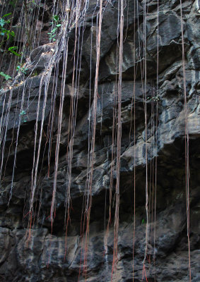 Cave-Streamers