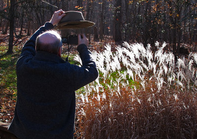 W photographing Rob's Pampas Grass