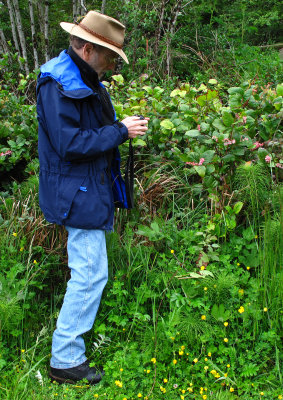 W photographing Salal - 2