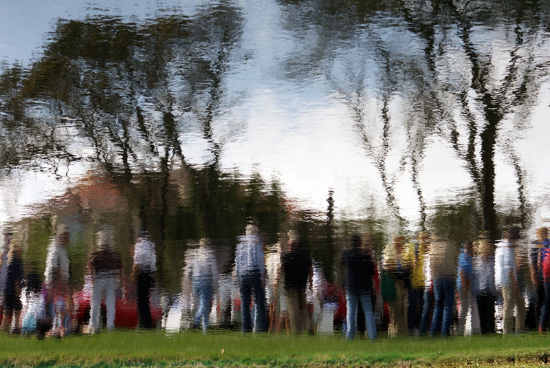 Reflection at Amelia Island Concours