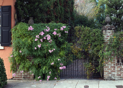 Flowered Gate