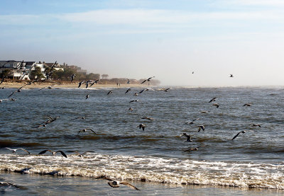 Inlet - Sullivan's Island looking at IOP