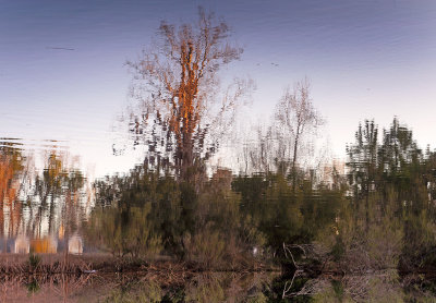 1024DSC07494a.jpg