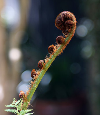 1024DSC08469.jpg