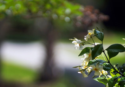1024DSC09098a.jpg