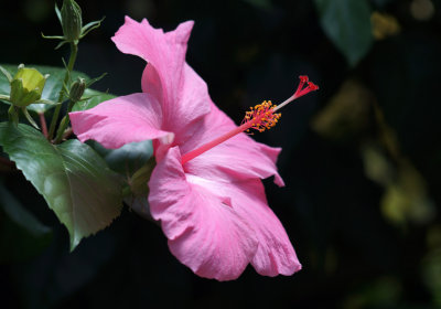 1024DSC09863.jpg