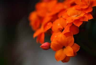 1024DSC00197.jpg