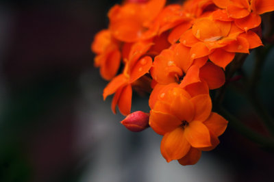 1024DSC00198.jpg