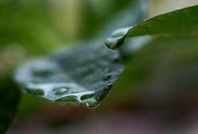 1024DSC00162.jpg